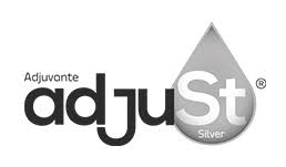 Adjust Silver